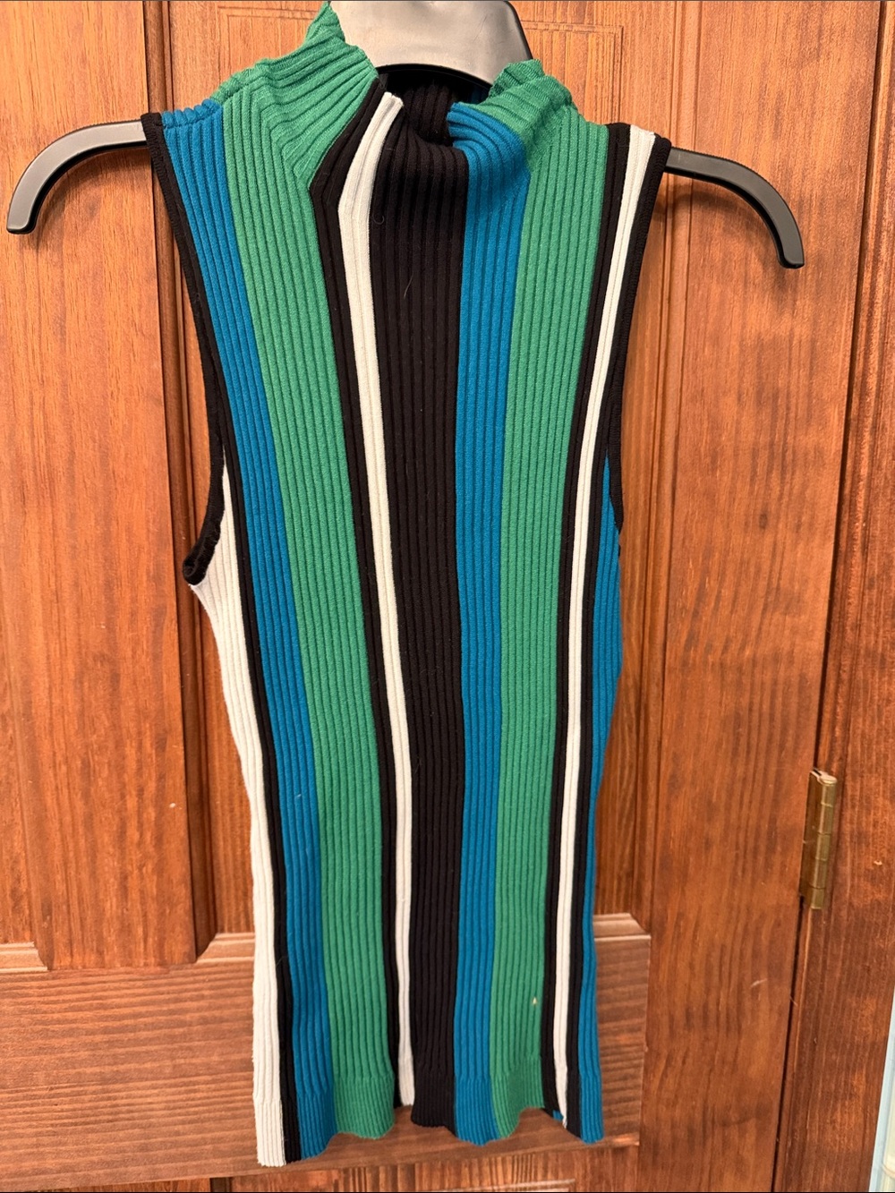 Sleeveless Ribbed Knit Sweater - Green/Blue/Black INC